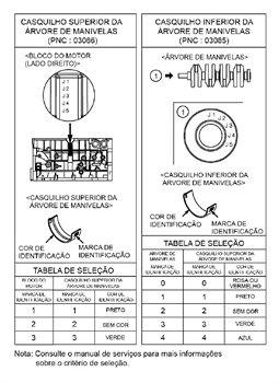 Imagem Seção 2